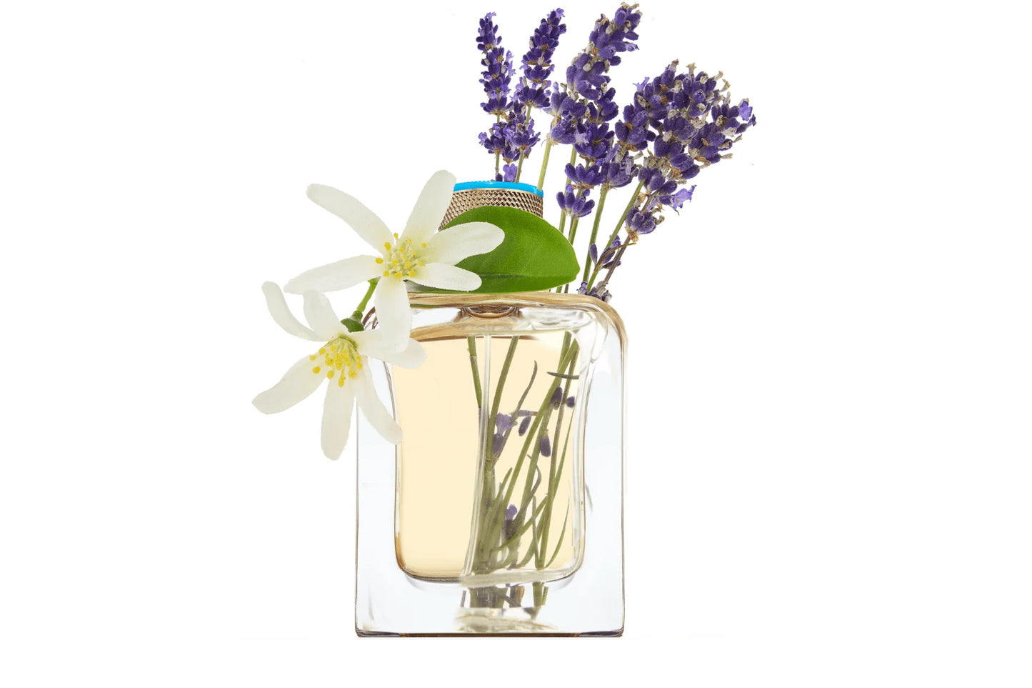 Eau D'Azur (EDP)